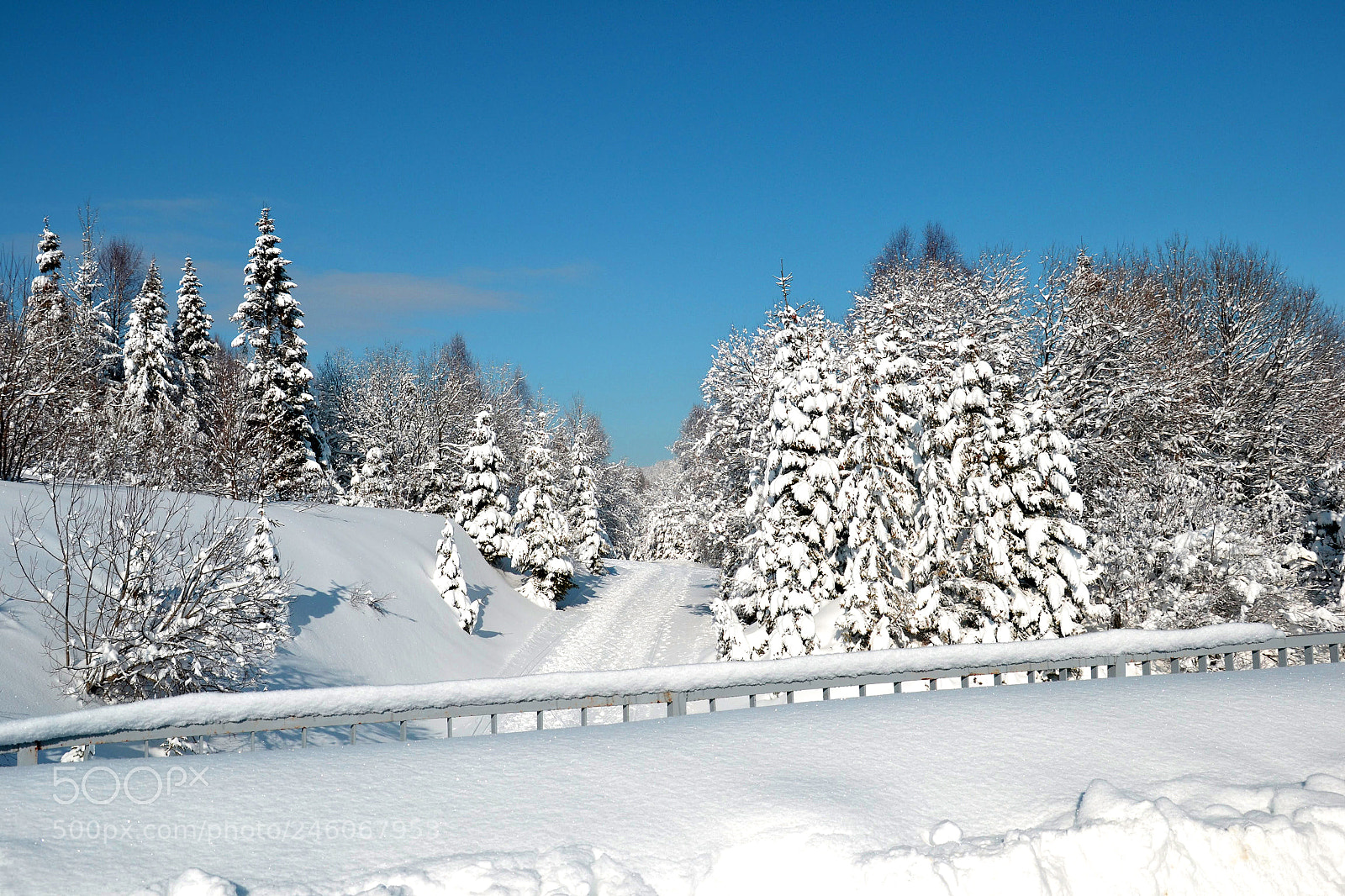 Nikon D3100 sample photo. Winter photography