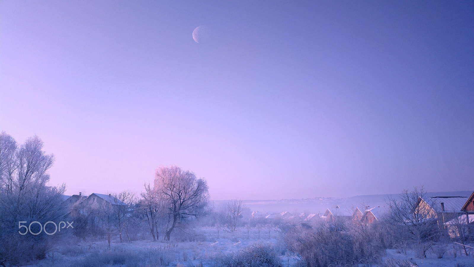 Nokia 808 PureView sample photo. Morning frost photography