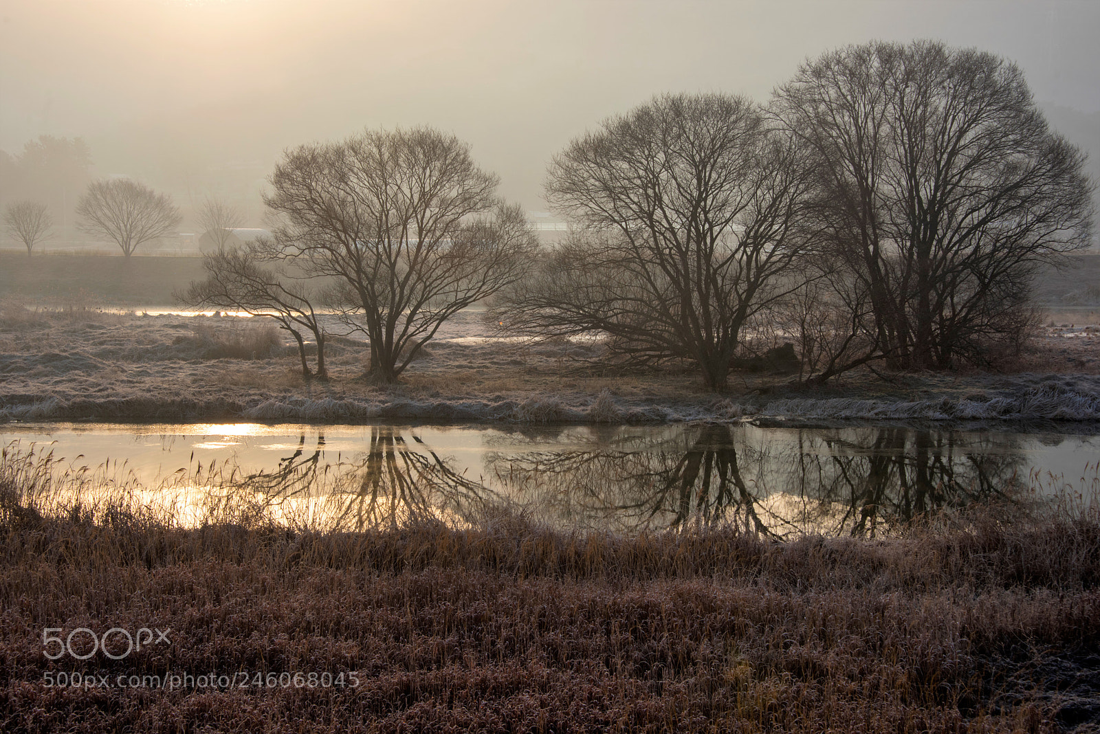 Nikon D810 sample photo. Dawn at river photography