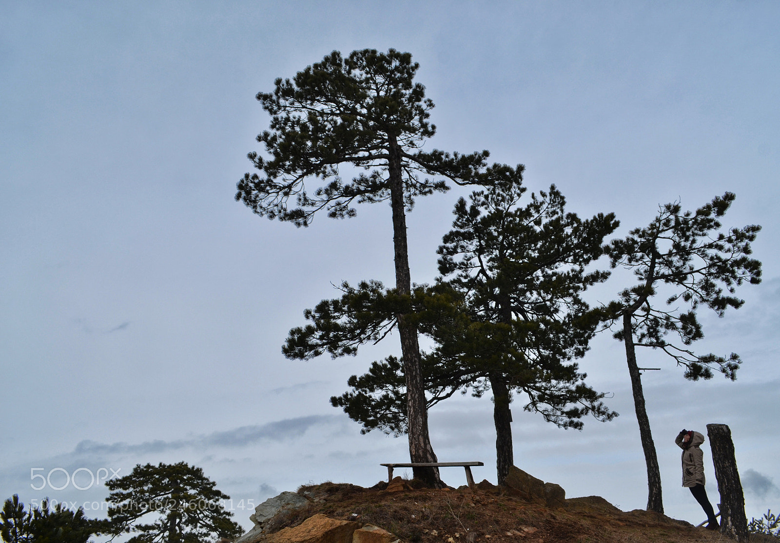 Nikon D3100 sample photo. Untitled photography
