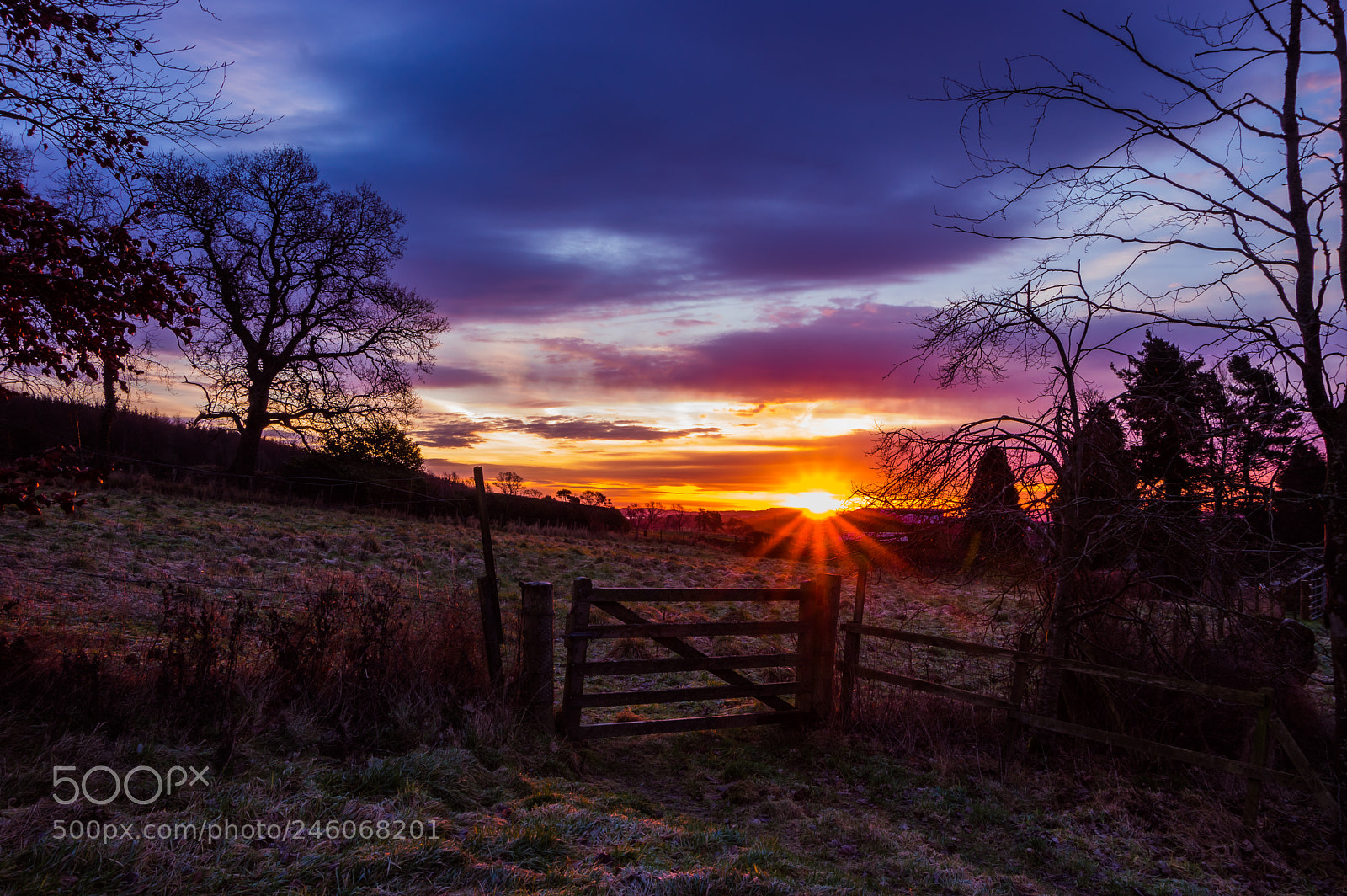 Pentax K-3 sample photo. Sunrise from field photography