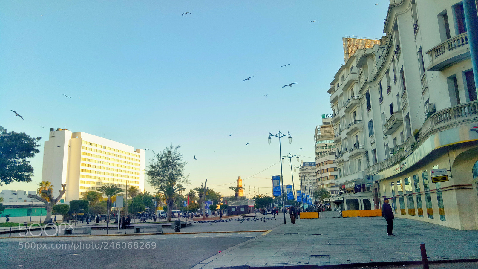 OPPO A1601 sample photo. Untitled photography