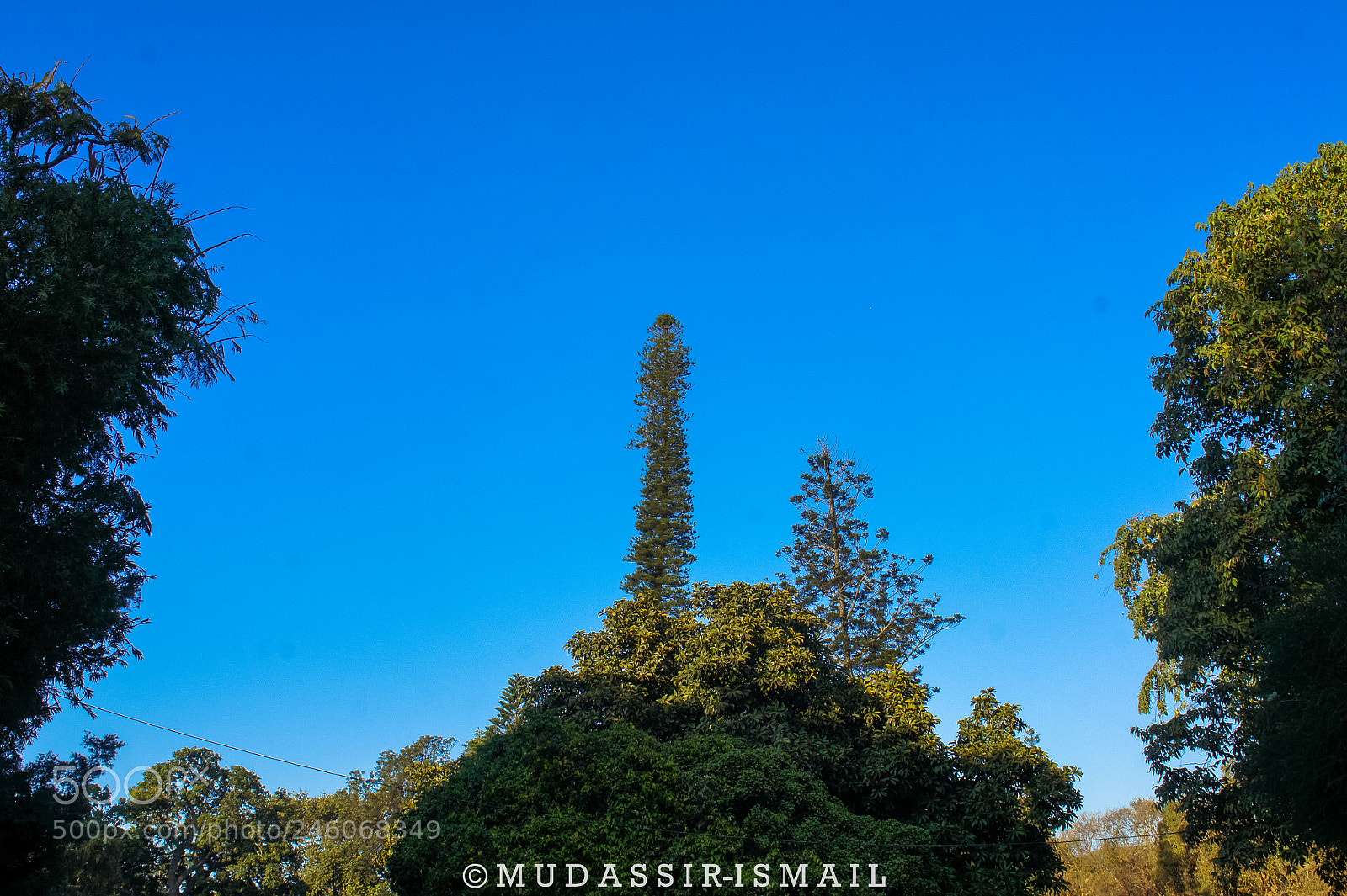 Sony Alpha NEX-3 sample photo. Blue sky photography