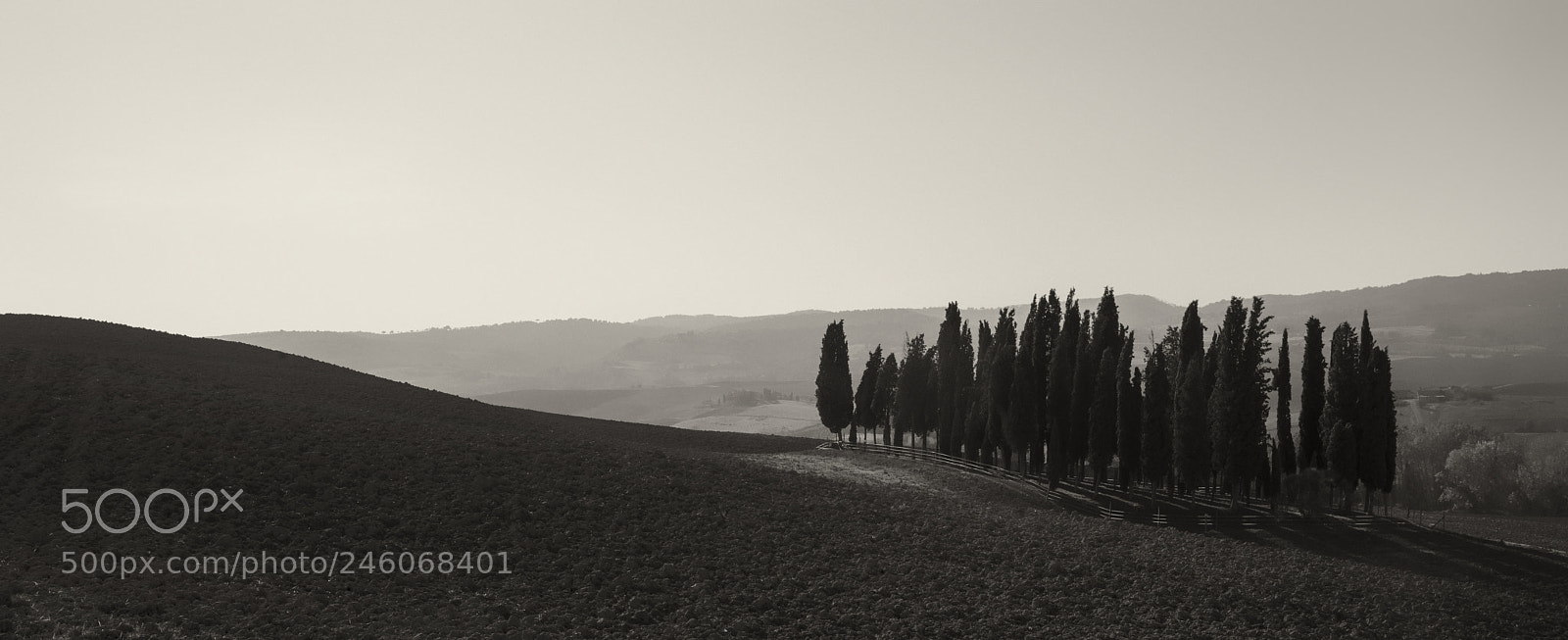 Nikon D800 sample photo. Val d'orcia-tuscany photography