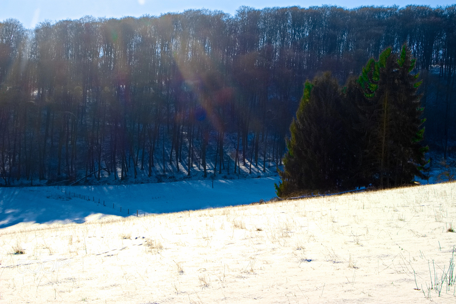 Canon EOS 100D (EOS Rebel SL1 / EOS Kiss X7) sample photo. 2018-02-14 winter-landscape at westforest photography