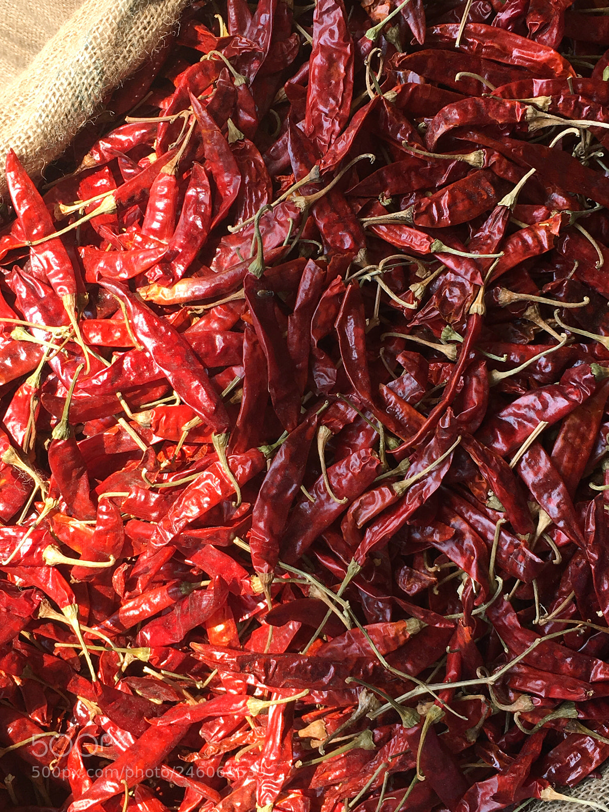 Apple iPhone 6s sample photo. Dried chillies at the photography