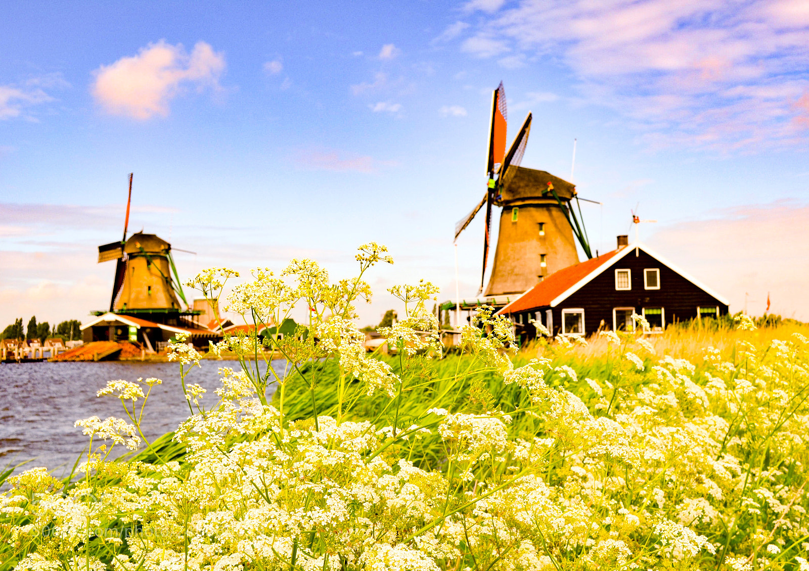 Nikon D5100 sample photo. Dutch countryside photography