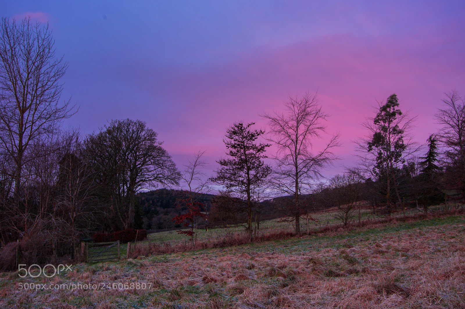 Pentax K-3 sample photo. Sunrise near inchture photography