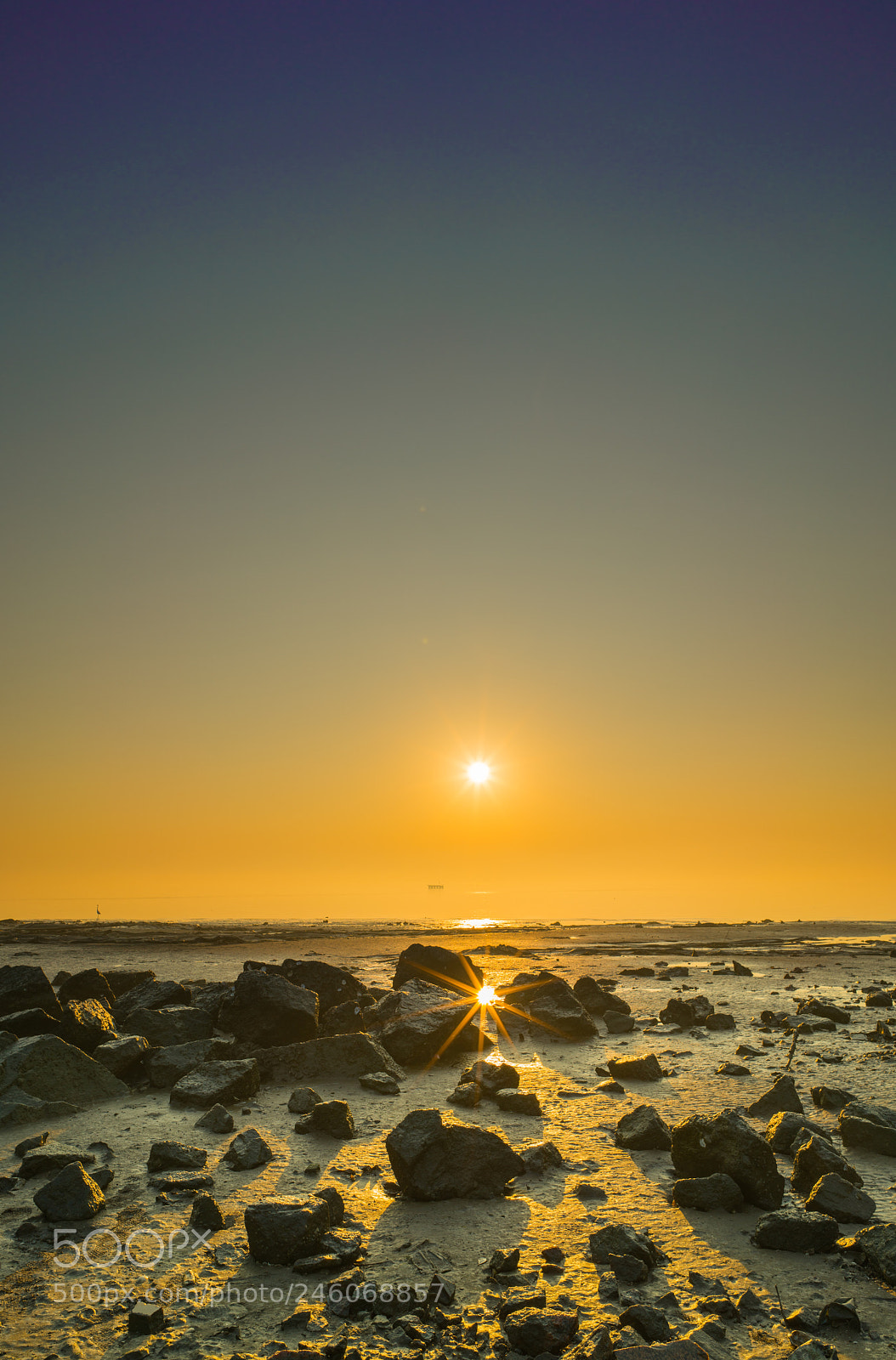 Sony a7R II sample photo. Untitled photography