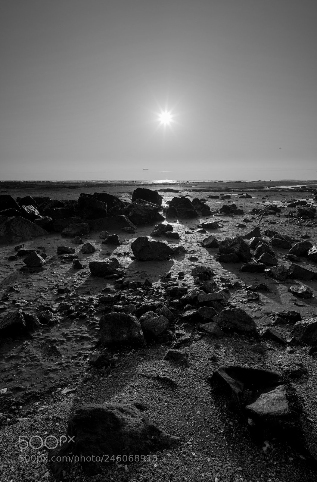 Sony a7R II sample photo. Untitled photography