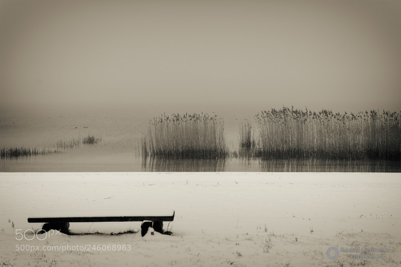 Nikon D7100 sample photo. Tarnobrzeskie lake in winter photography