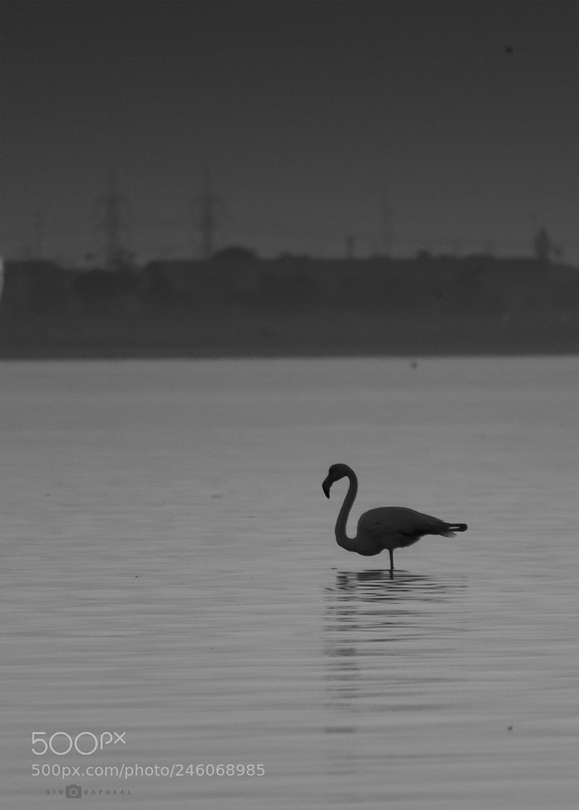 Canon EOS 700D (EOS Rebel T5i / EOS Kiss X7i) sample photo. Lonely valentine photography