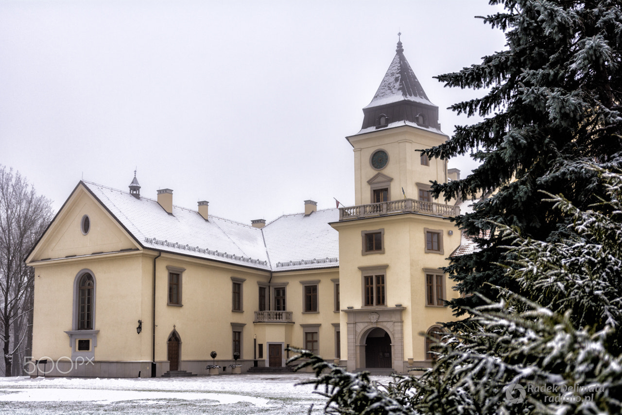Nikon D7100 sample photo. Tarnowski castle in tarnobrzeg photography