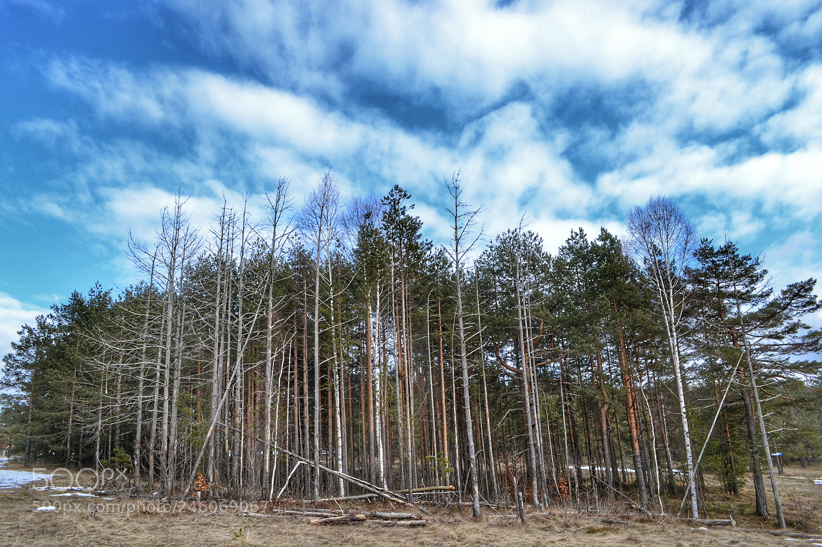 Nikon D3100 sample photo. Untitled photography