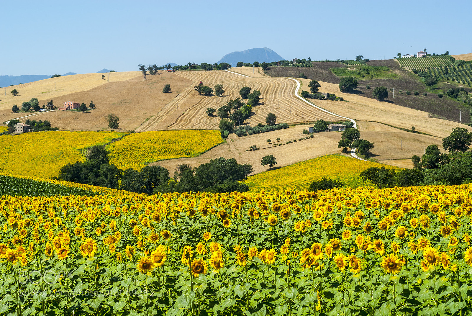 Nikon D200 sample photo. Marches (italy), landscape photography