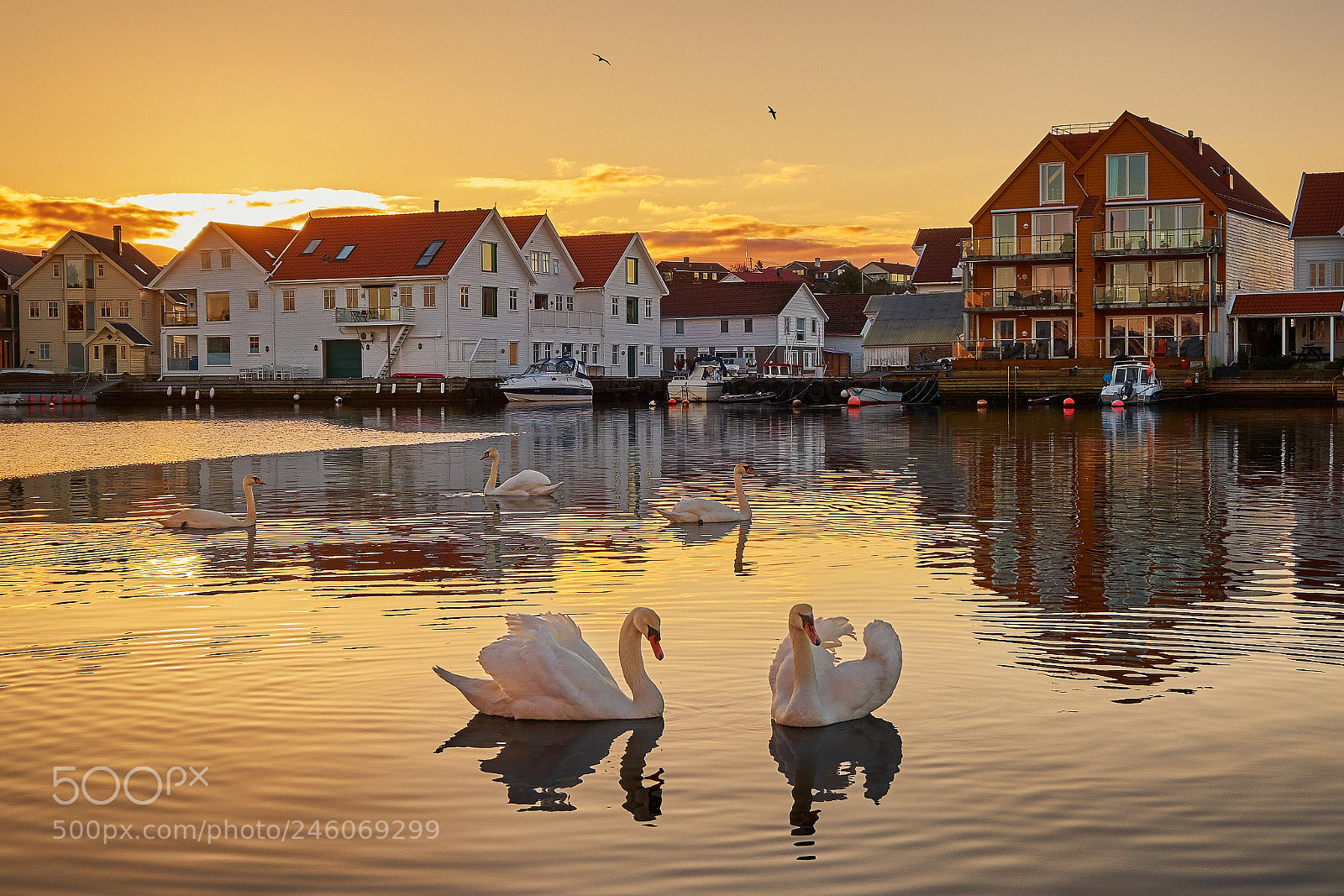 Fujifilm X-T2 sample photo. Golden hour, norway photography