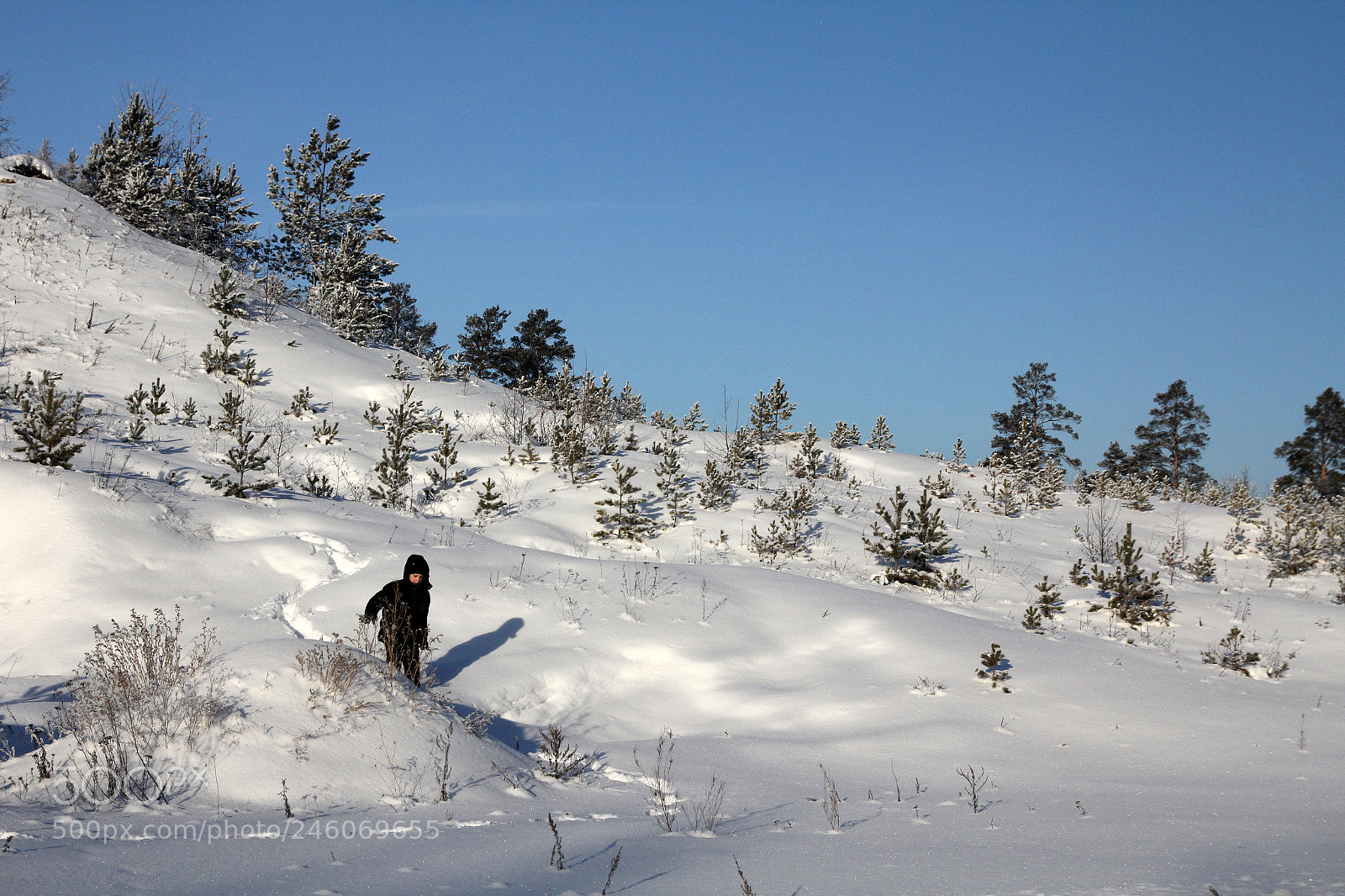 Canon EOS 60D sample photo. Winter photography