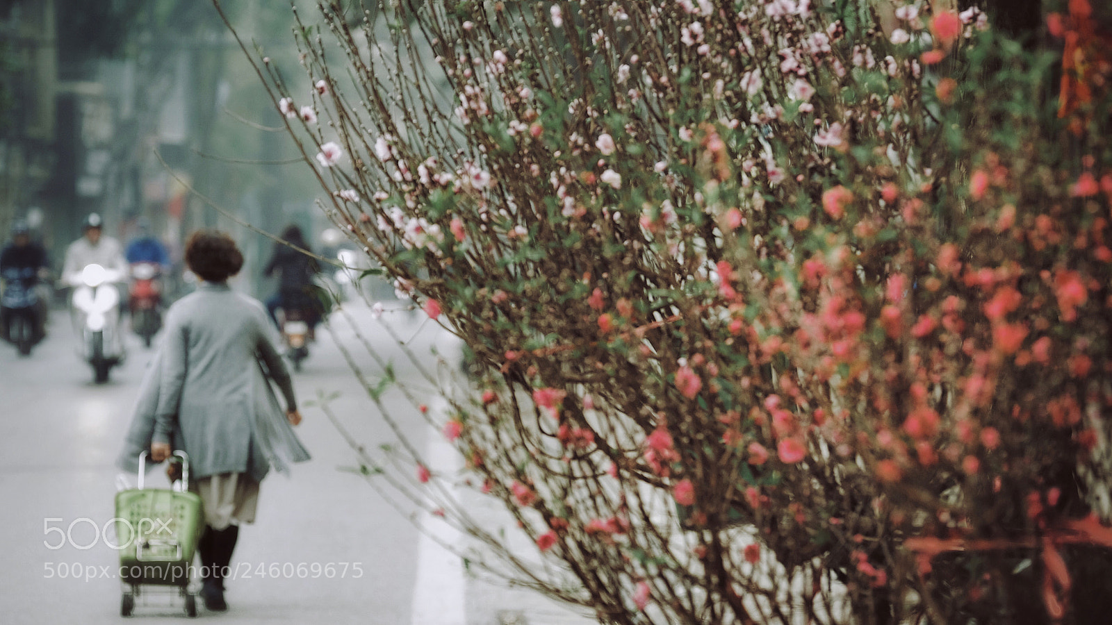 Fujifilm X-T20 sample photo. Untitled photography