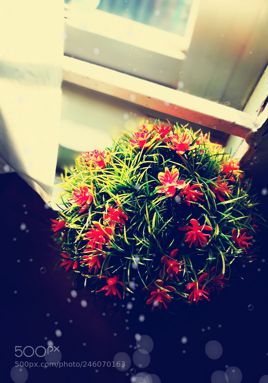 HUAWEI GR5 2017 sample photo. Plant photography