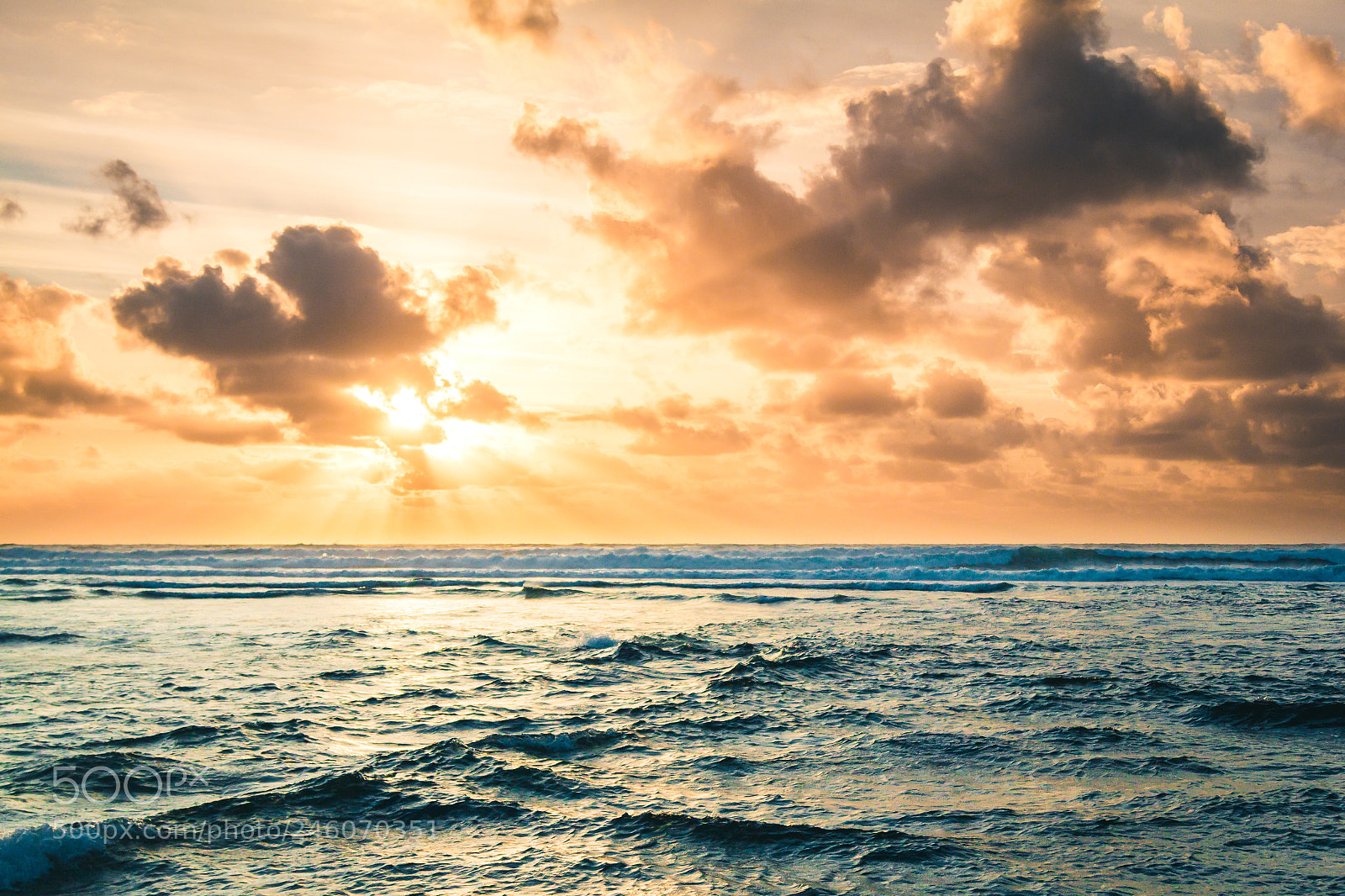 Canon EOS 60D sample photo. Golden arvo... photography