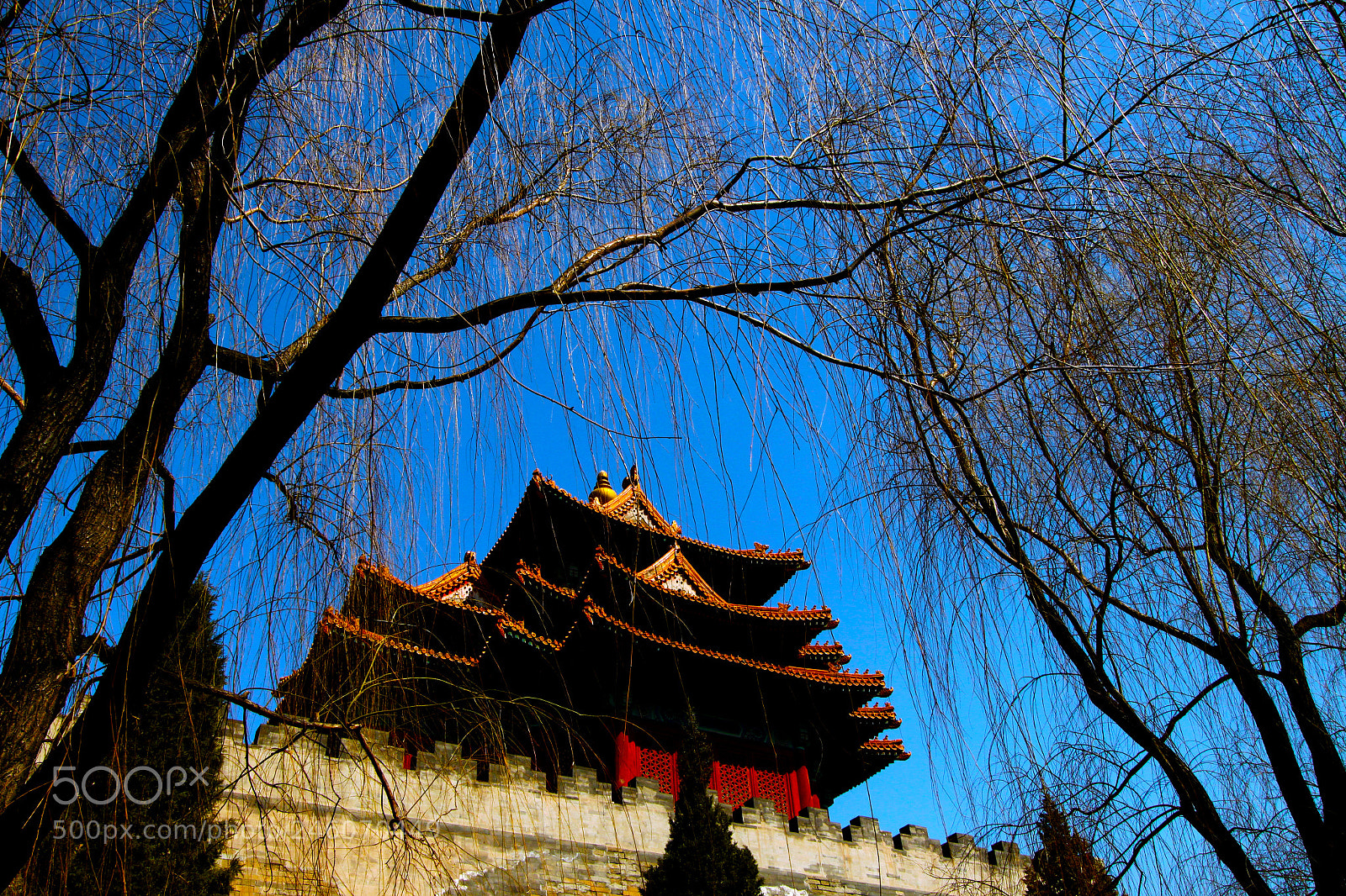 Canon EOS 500D (EOS Rebel T1i / EOS Kiss X3) sample photo. Forbidden city photography