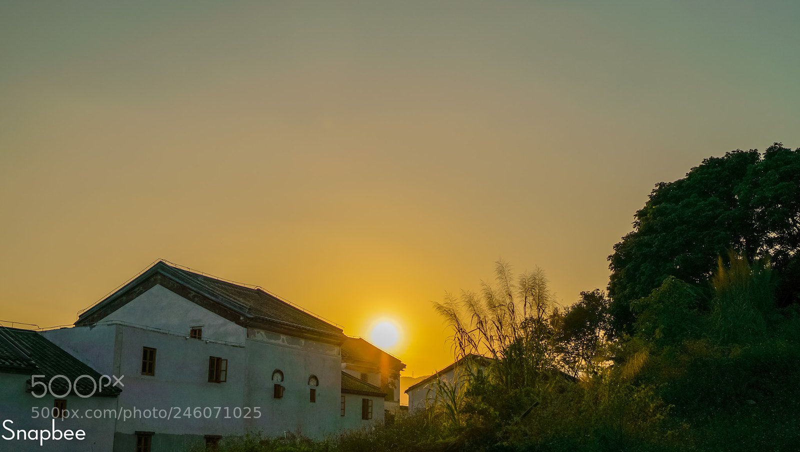 Sony a7R II sample photo. Untitled photography