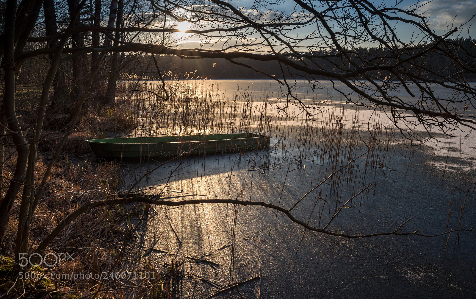 Pentax K-1 sample photo. Silence over the swan photography
