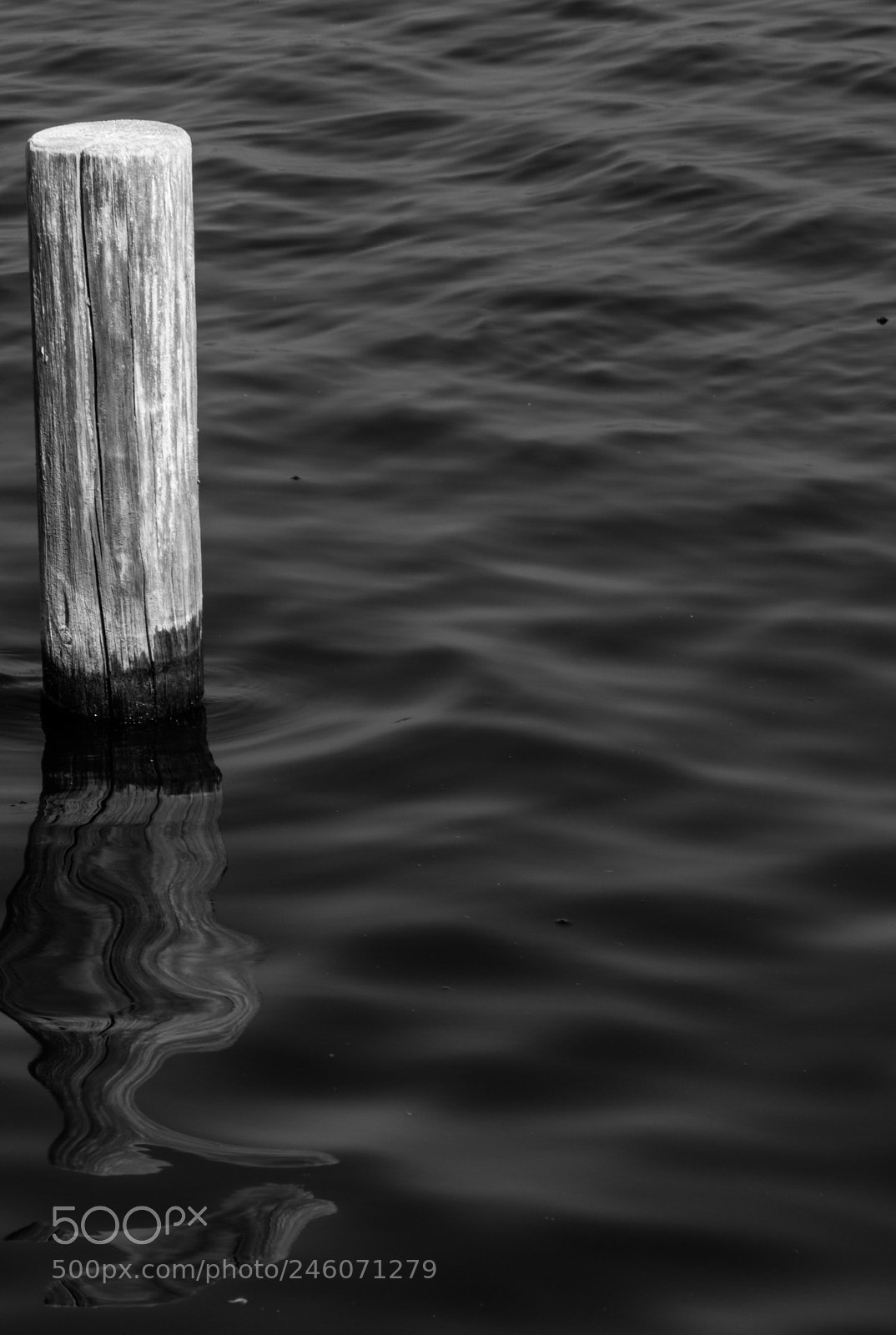 Canon EOS 760D (EOS Rebel T6s / EOS 8000D) sample photo. Wavy shade photography