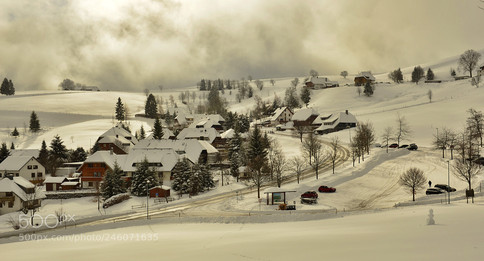 Nikon D800 sample photo. Hofsgrund photography