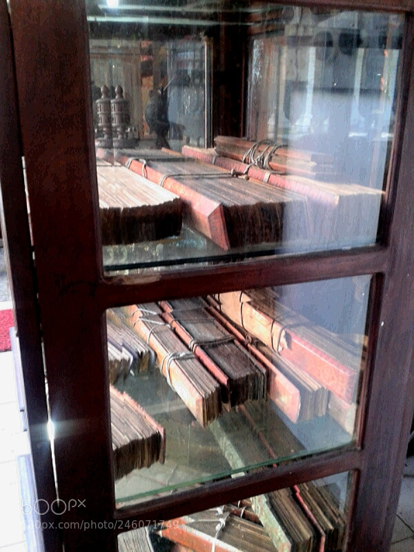 Samsung Galaxy S3 Mini sample photo. ....palmbooks.. photography