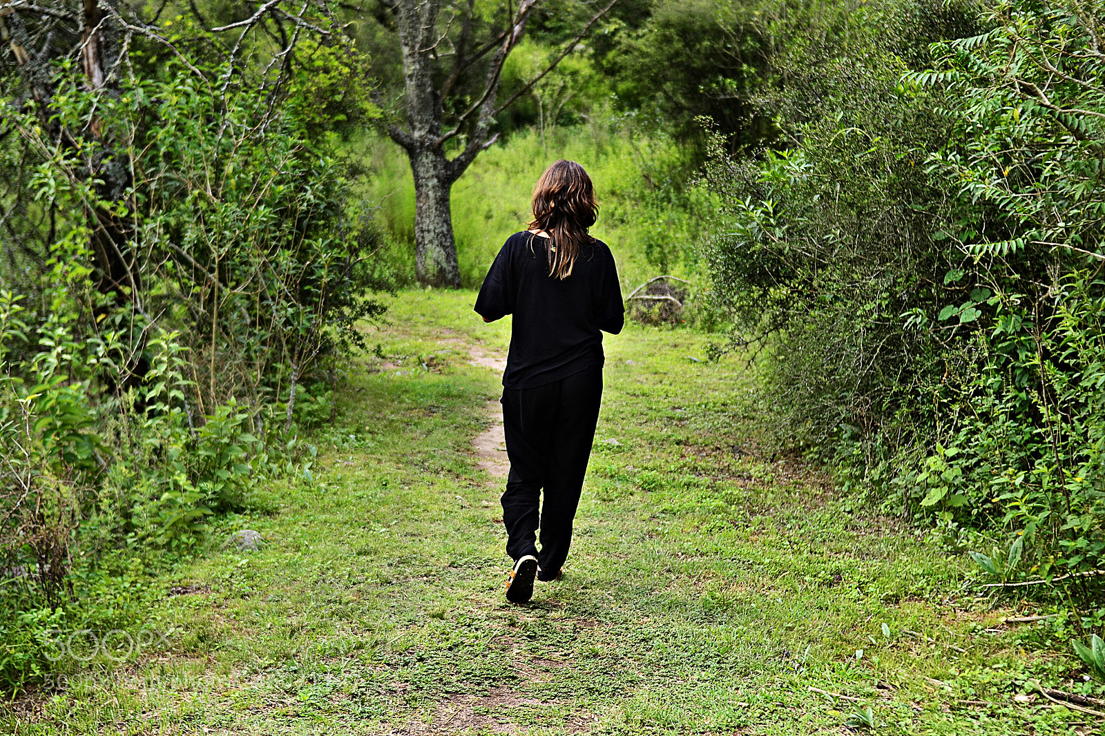 Nikon D3100 sample photo. Serie backwards photography