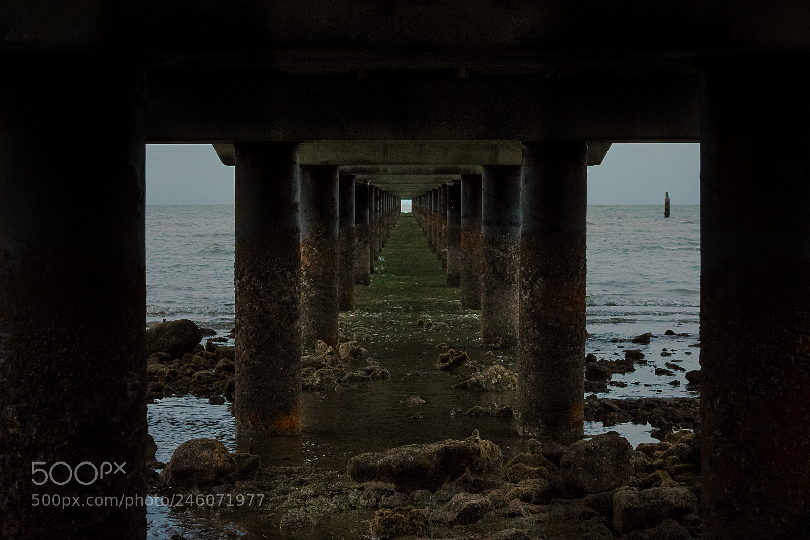 Nikon D3400 sample photo. A path less travelled photography