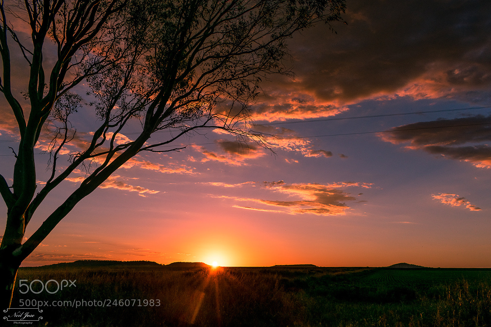 Nikon D3400 sample photo. Sunset at the sunflowers photography