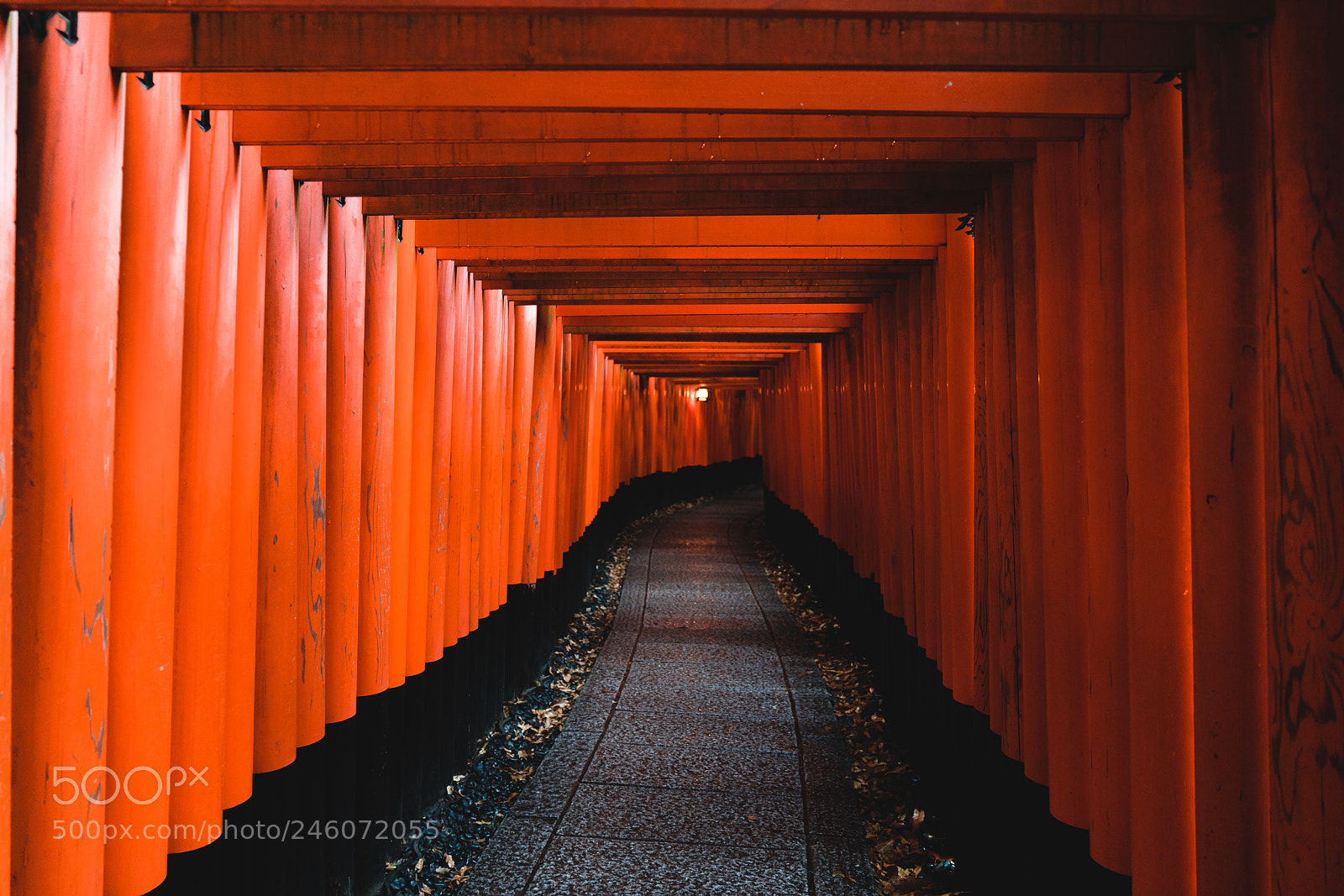 Sony a7R III sample photo. Eternal photography