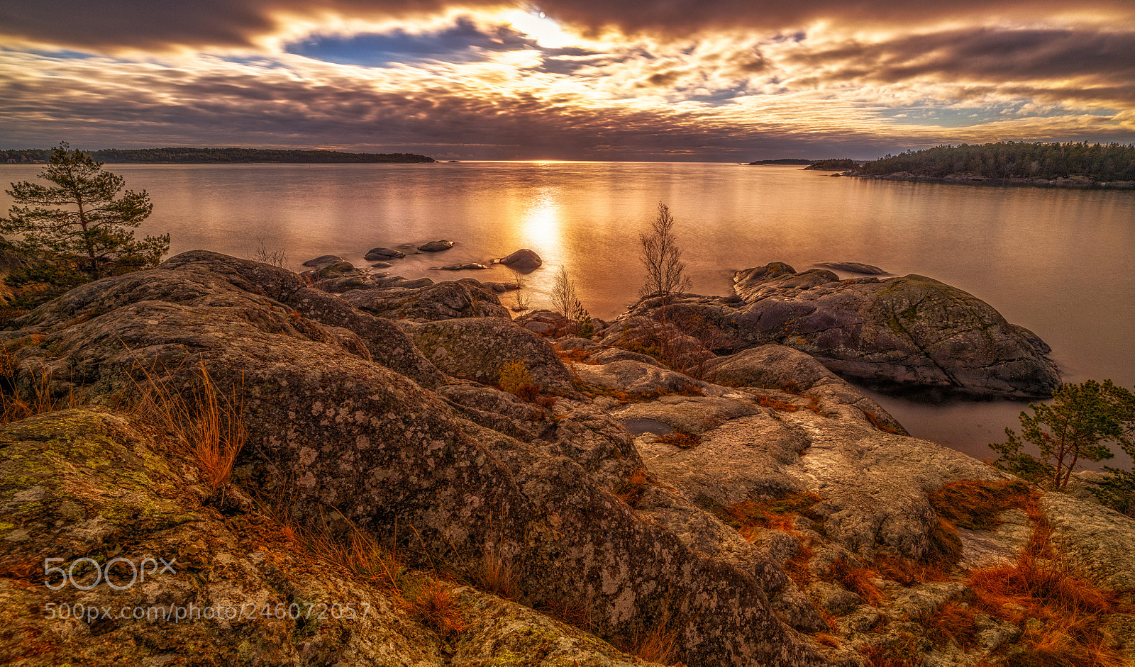 Nikon D850 sample photo. Sweden,nynäshamn photography