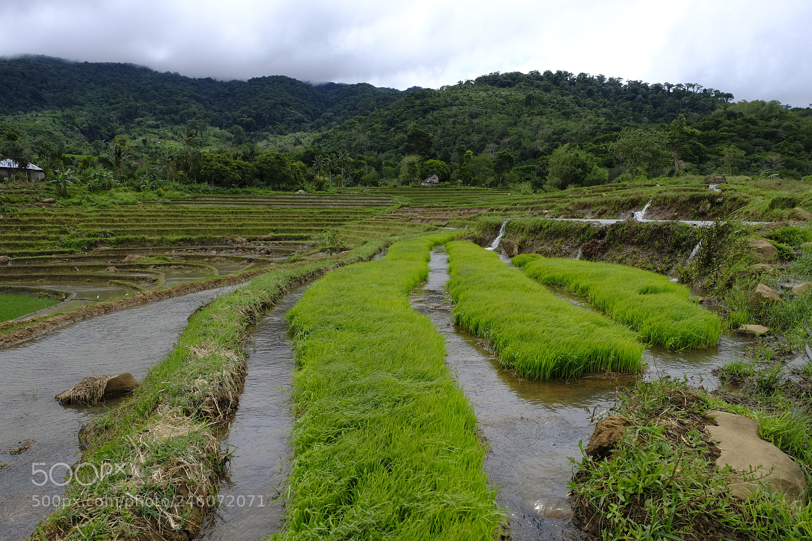 Fujifilm X-Pro2 sample photo. Untitled photography