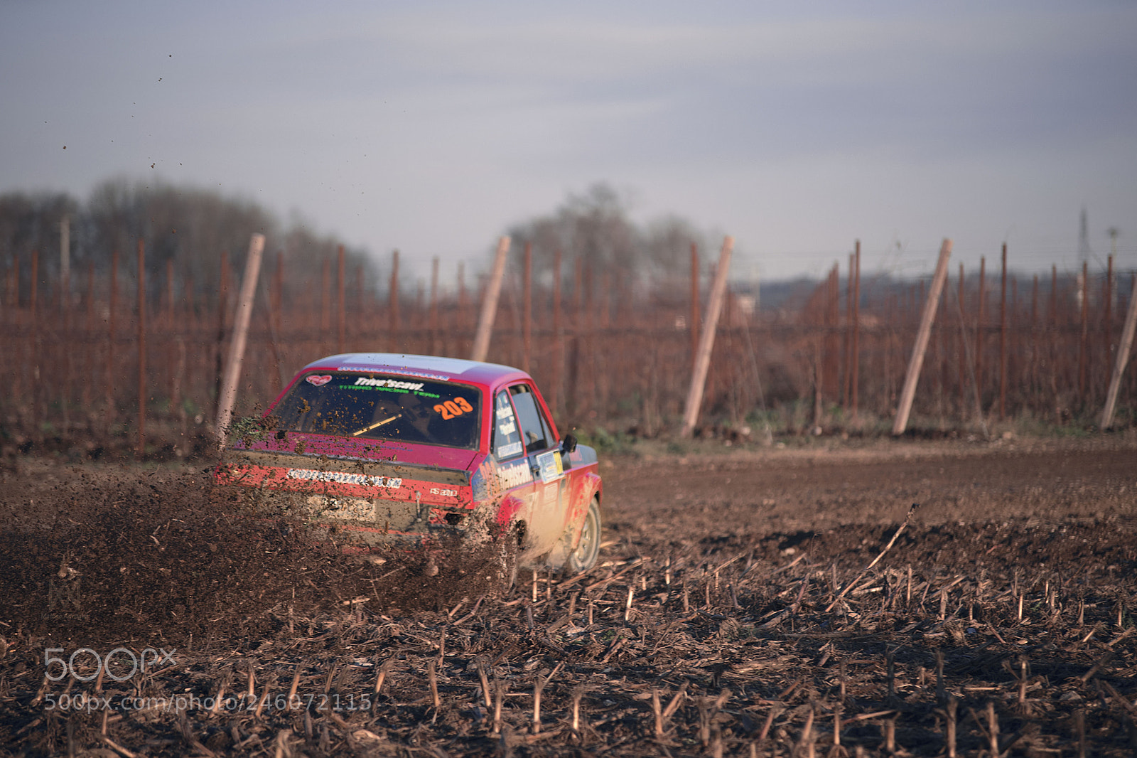 Sony a7 II sample photo. Dsc photography