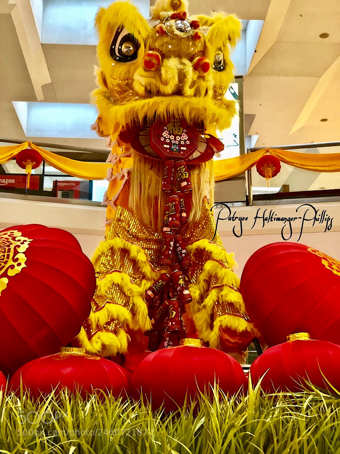 Apple iPhone X sample photo. The year of the photography