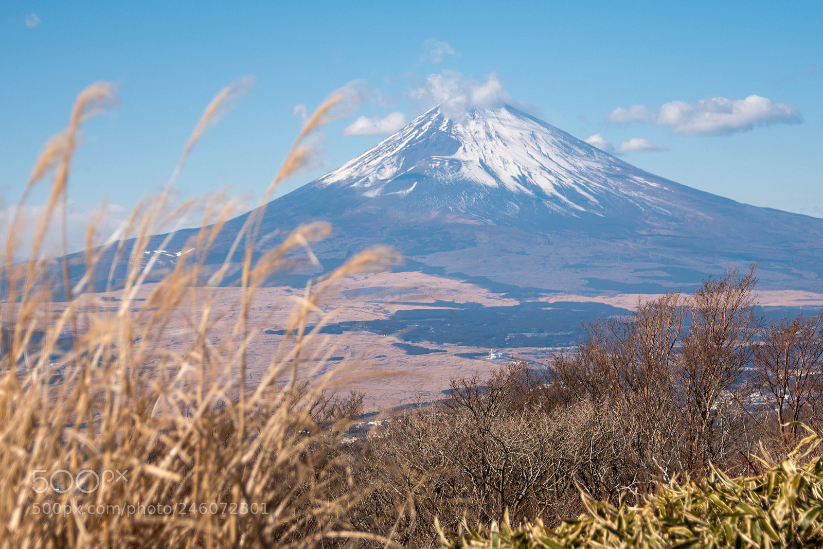 Nikon D5600 sample photo. Mt. fuji from hakone photography