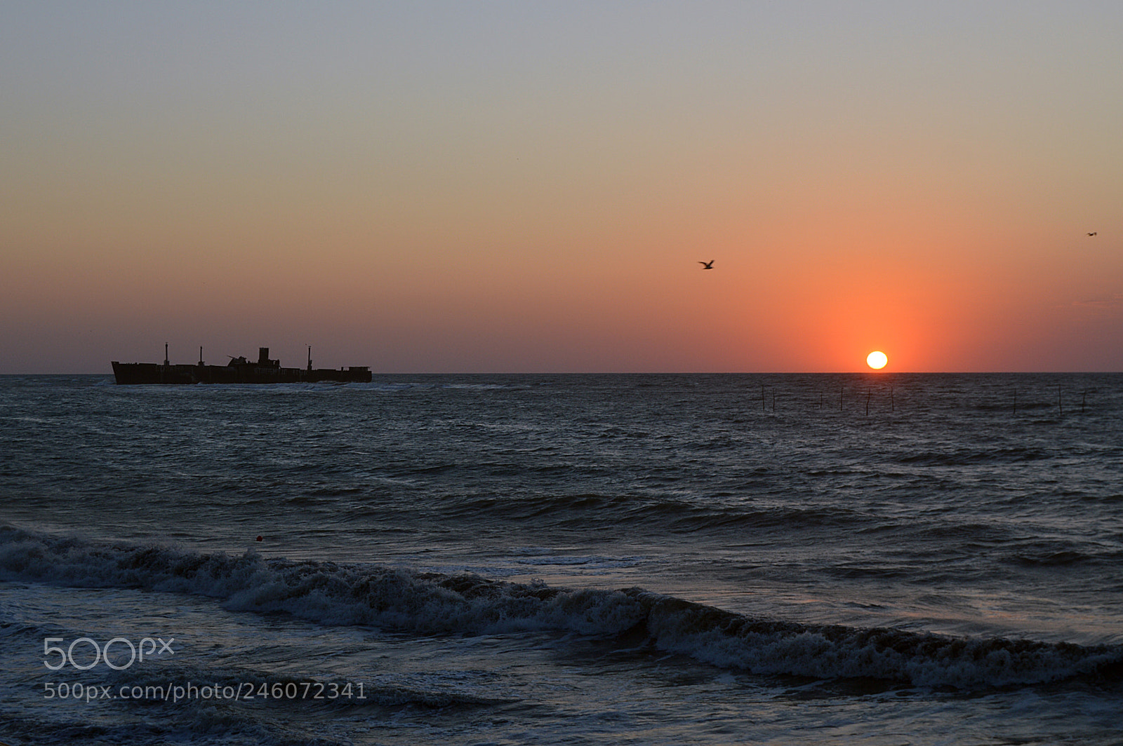 Nikon D3200 sample photo. Costinesti photography