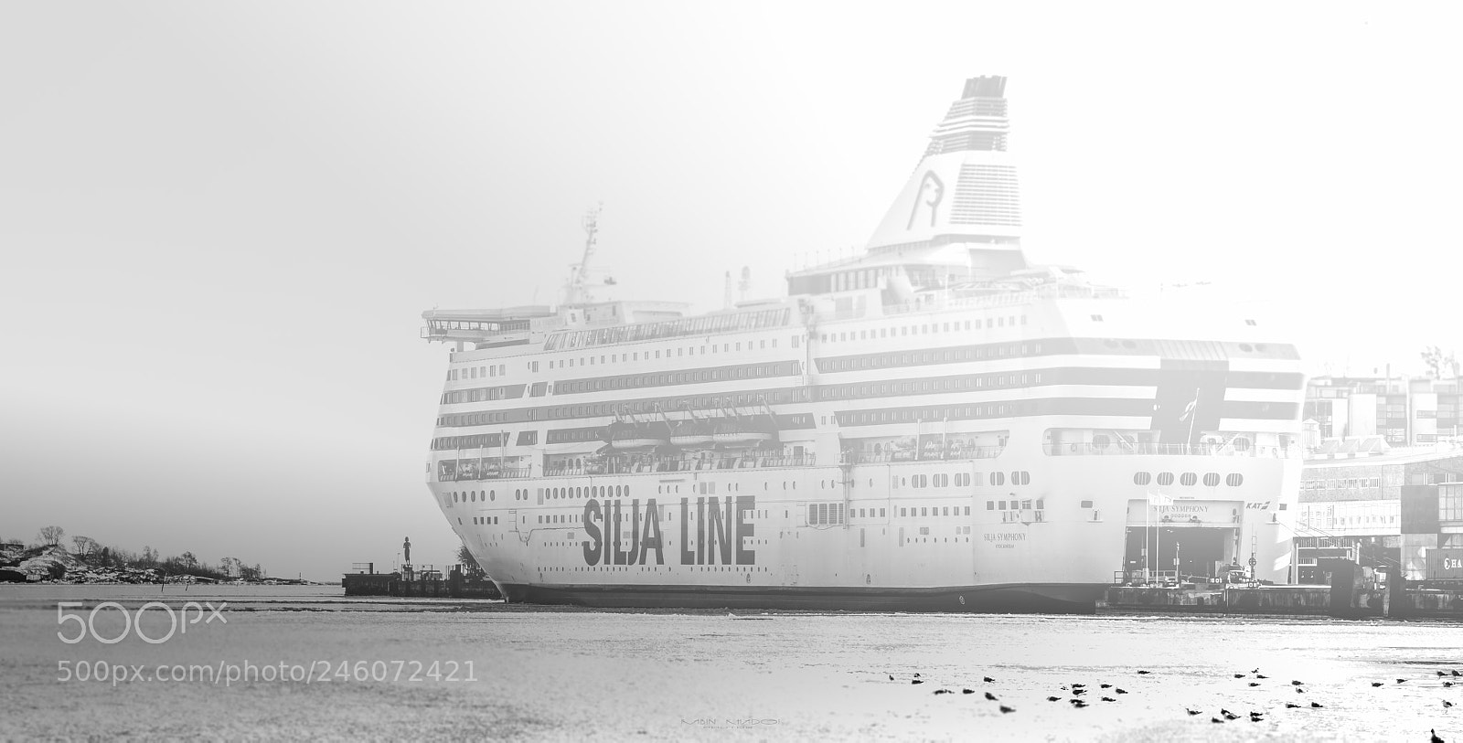 Panasonic Lumix DMC-GX8 sample photo. Foggy cruise photography