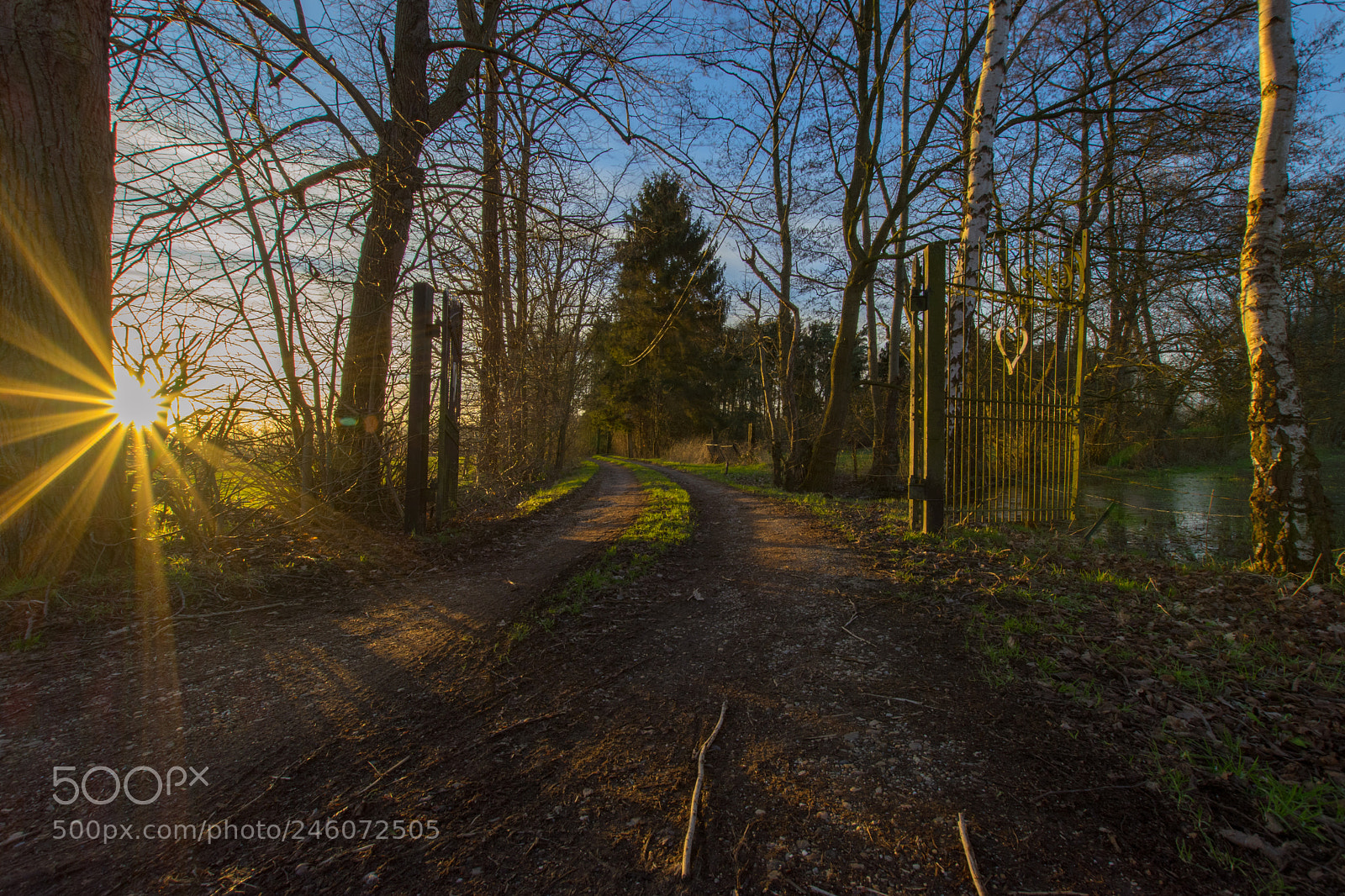 Nikon D5600 sample photo. The gates are open photography