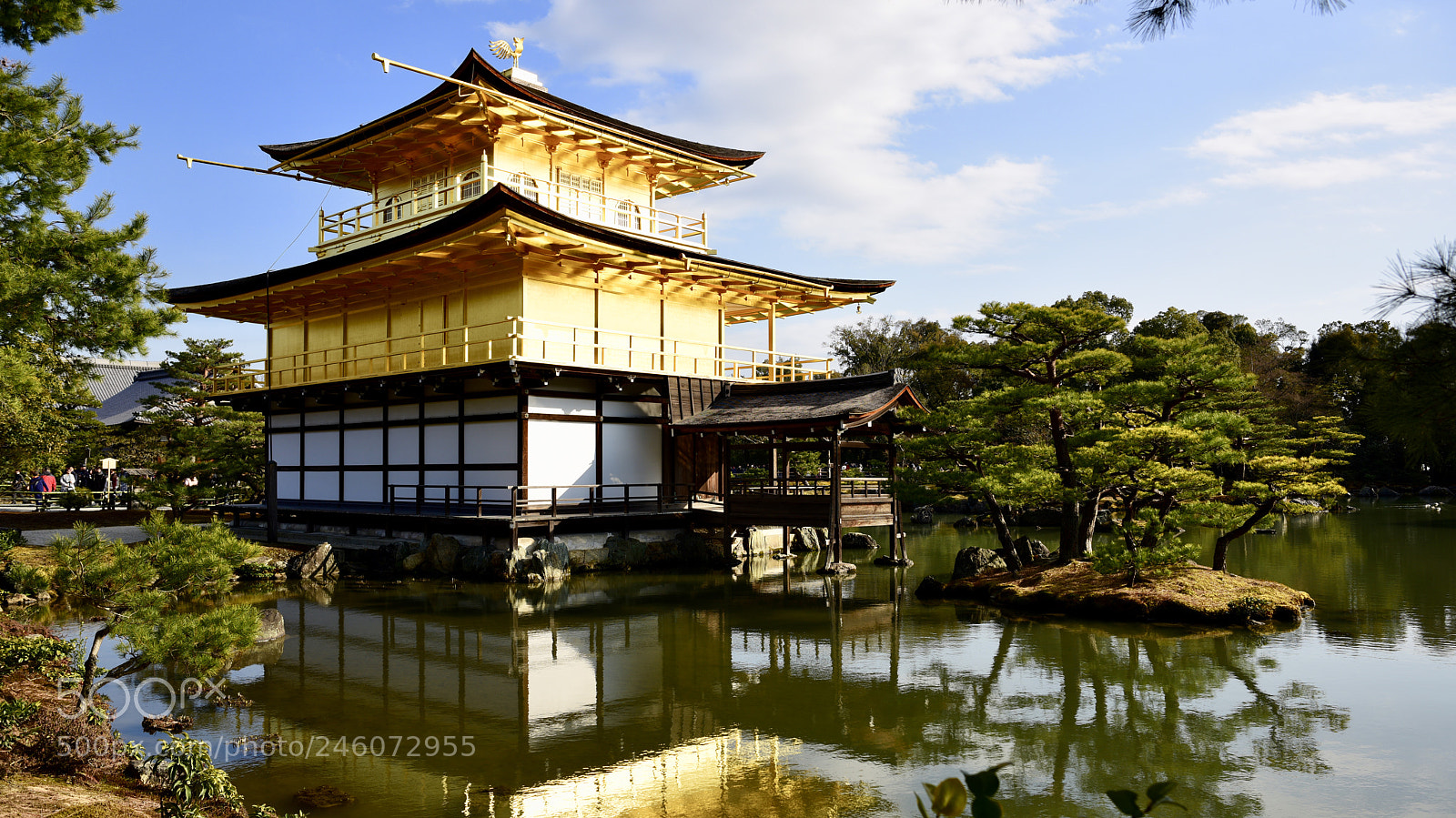 Nikon D810 sample photo. Kyoto photography