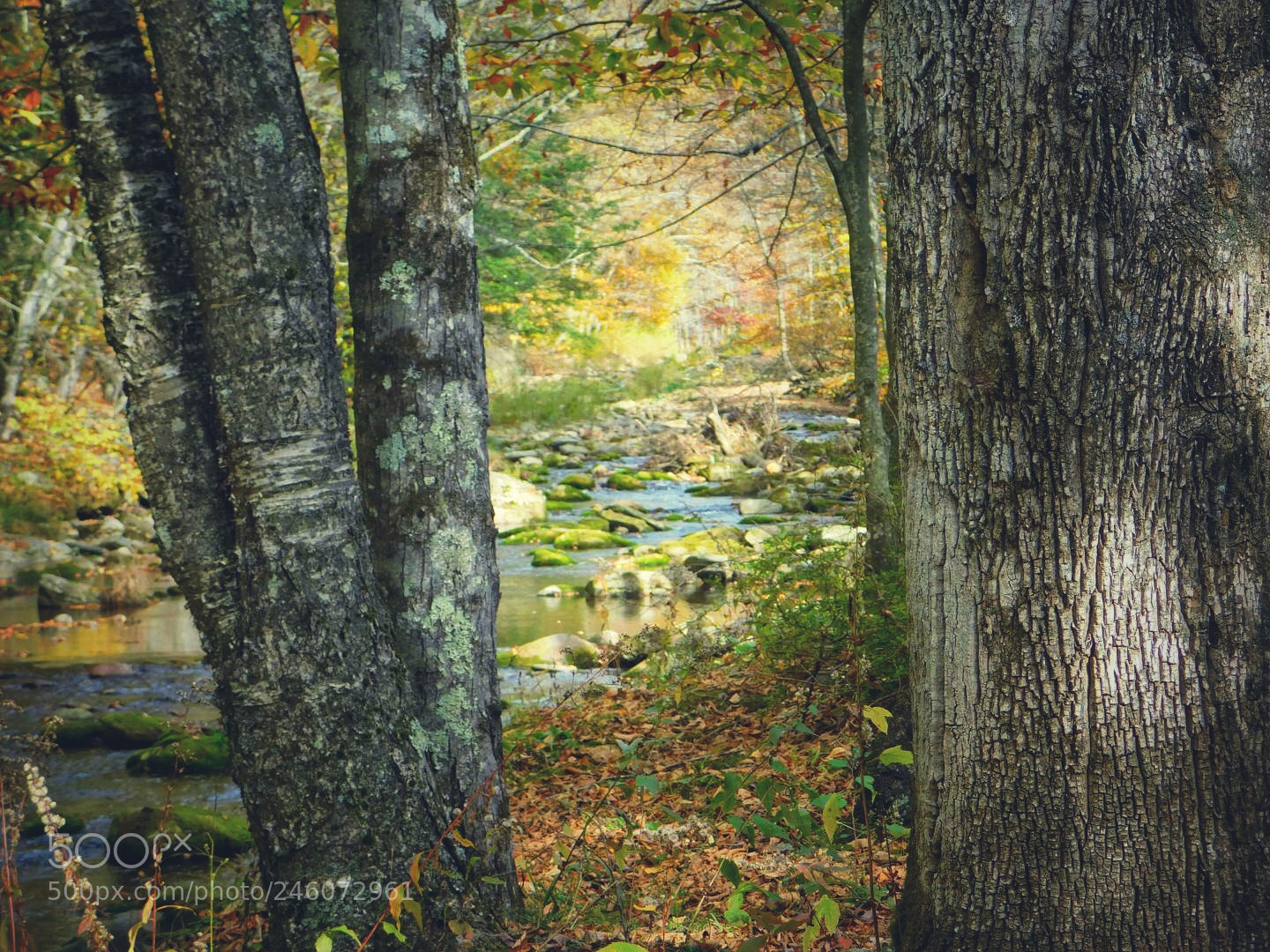 Nikon Coolpix B500 sample photo. Sundown creek in october  photography