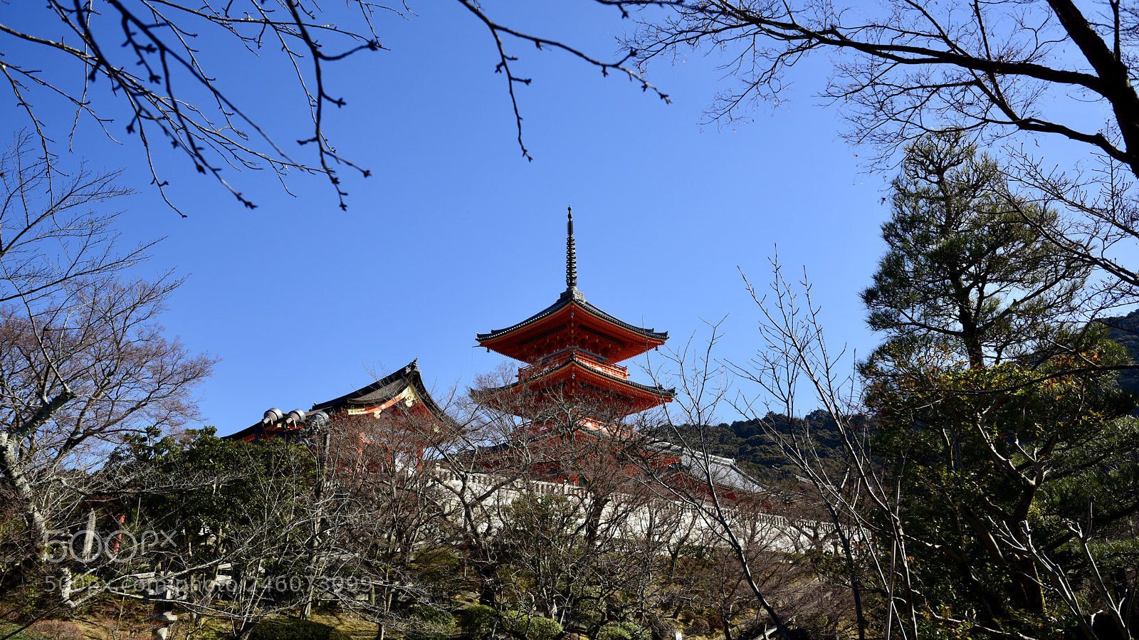 Nikon D810 sample photo. When sakura ...blossoming photography