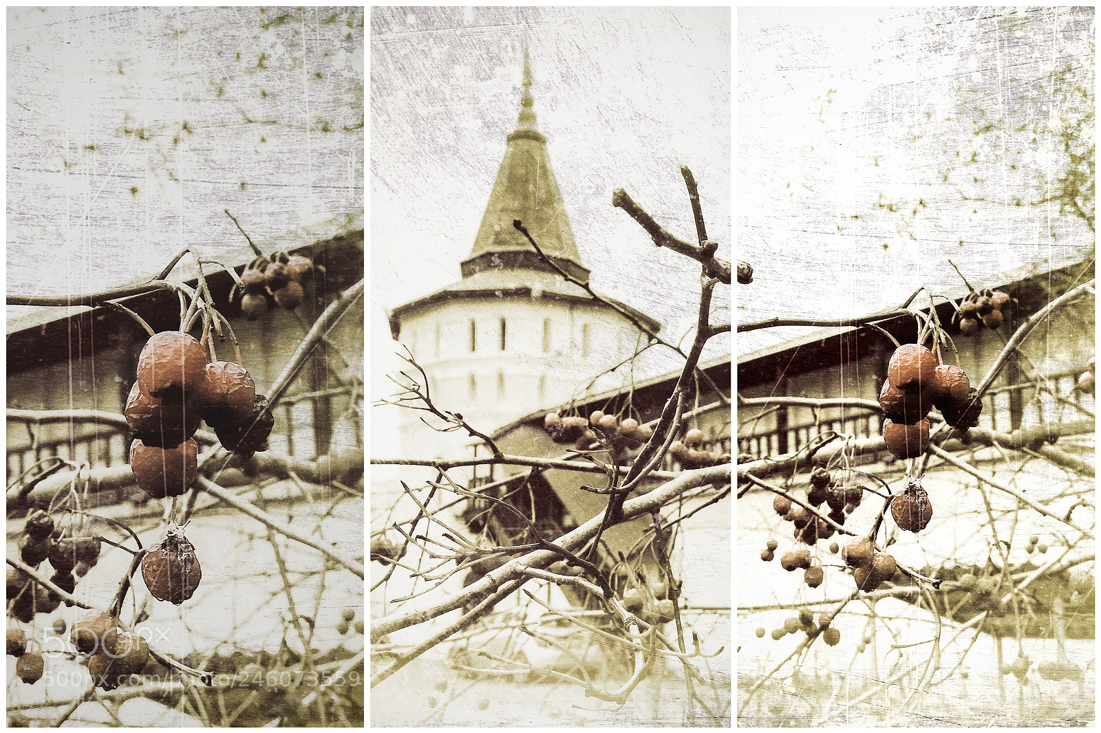 Fujifilm X-T1 sample photo. Danilov monastery. photography