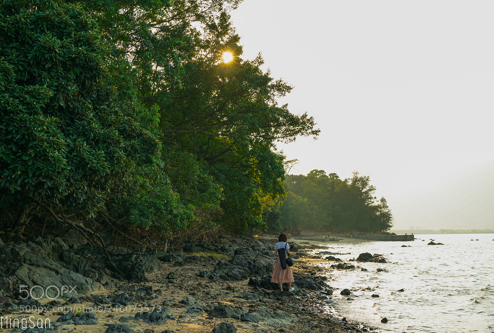 Sony a7R II sample photo. Untitled photography