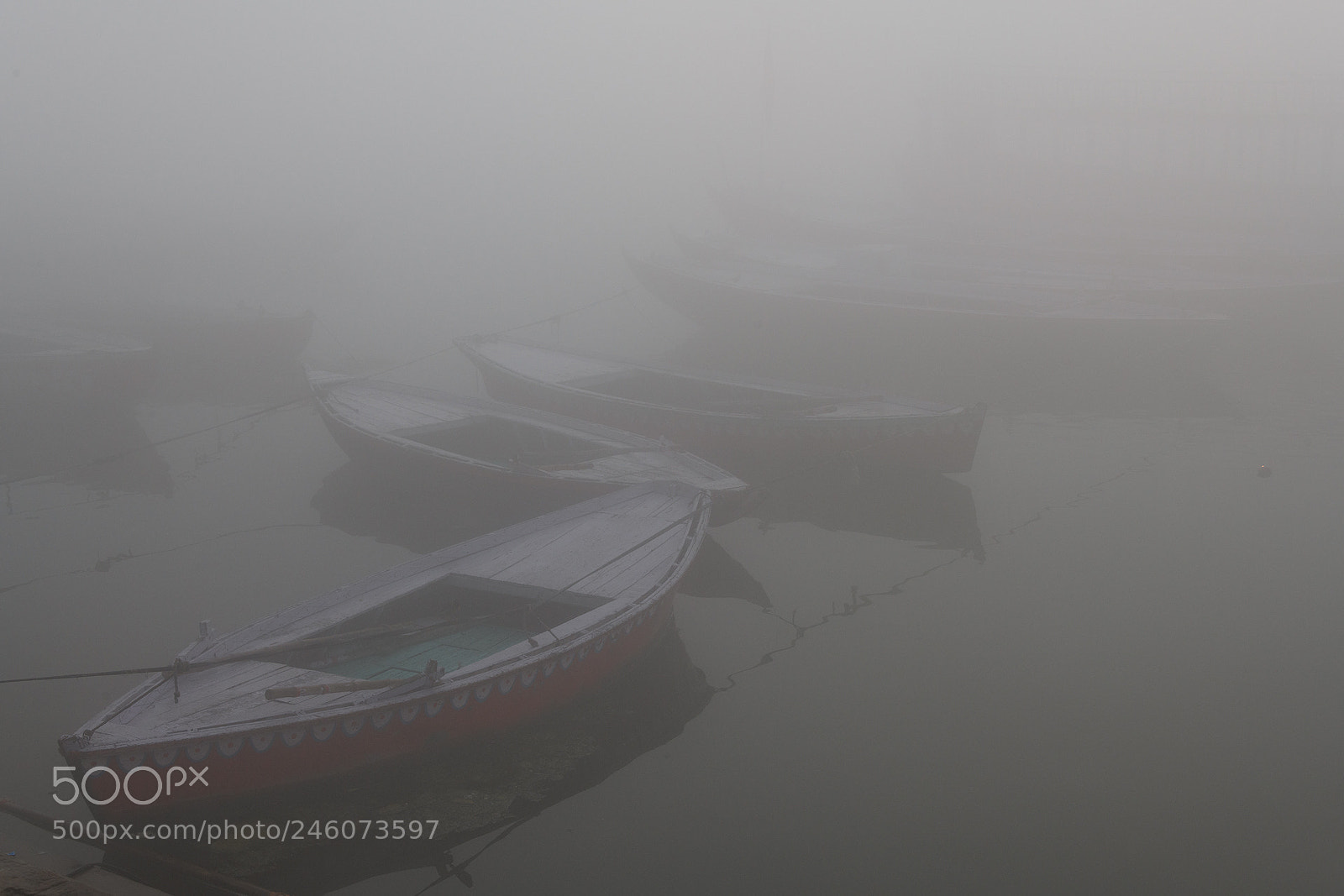 Nikon D850 sample photo. Fog on the ganges photography