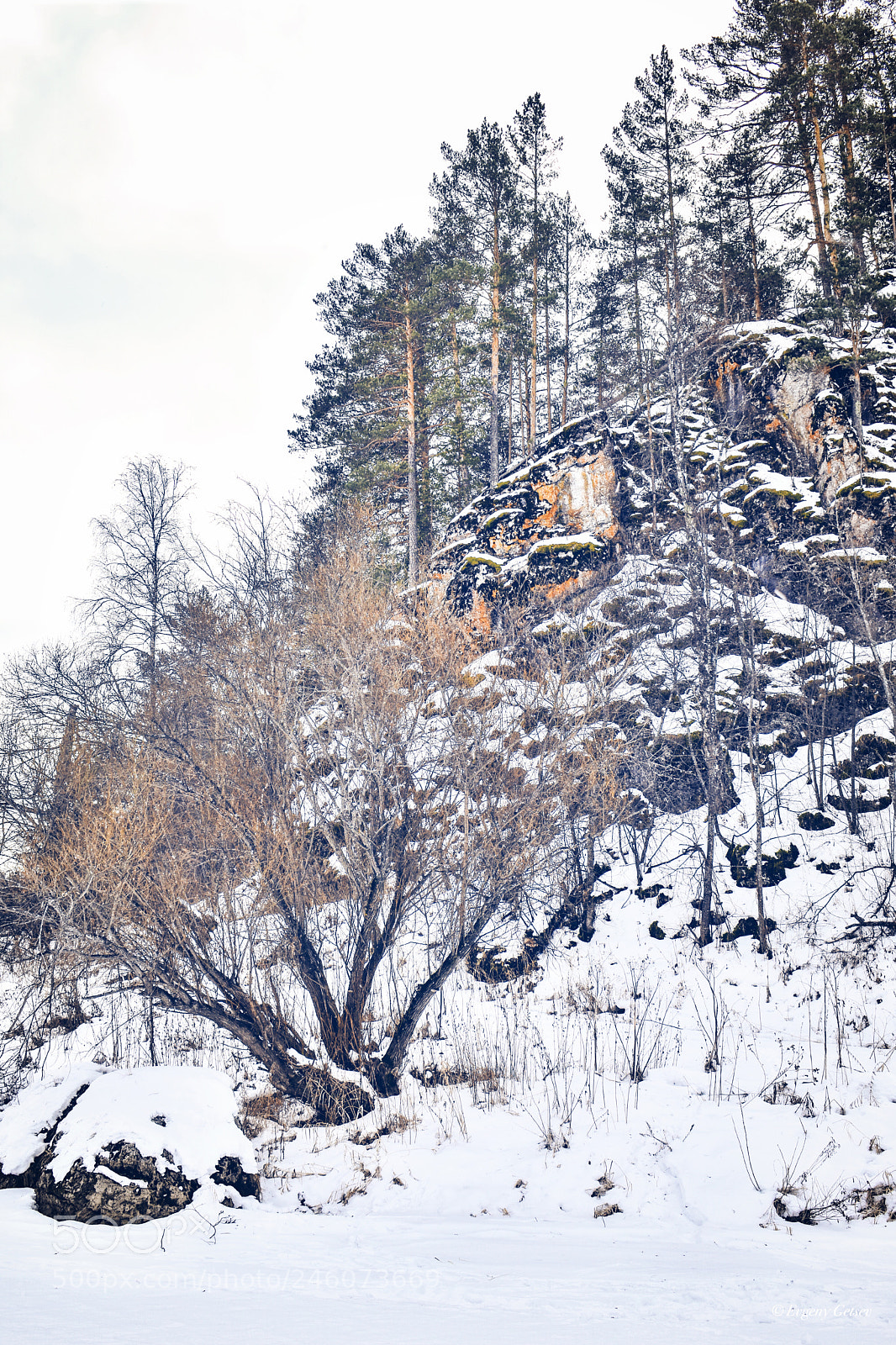 Nikon D3400 sample photo. Winter landscape photography