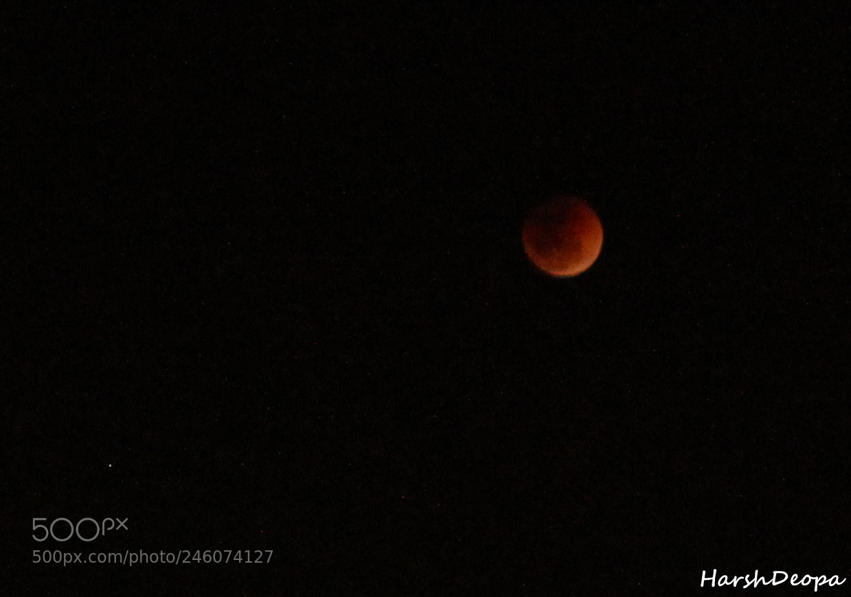 Canon EOS 550D (EOS Rebel T2i / EOS Kiss X4) sample photo. Blood moon 1 photography